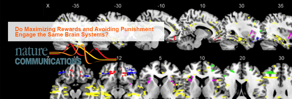 Do Maximizing Rewards and Avoiding Punishment Engage the Same Brain Systems?