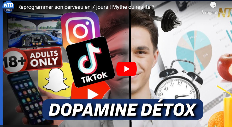 vignette youtube de la vidéo Dopamine Détox