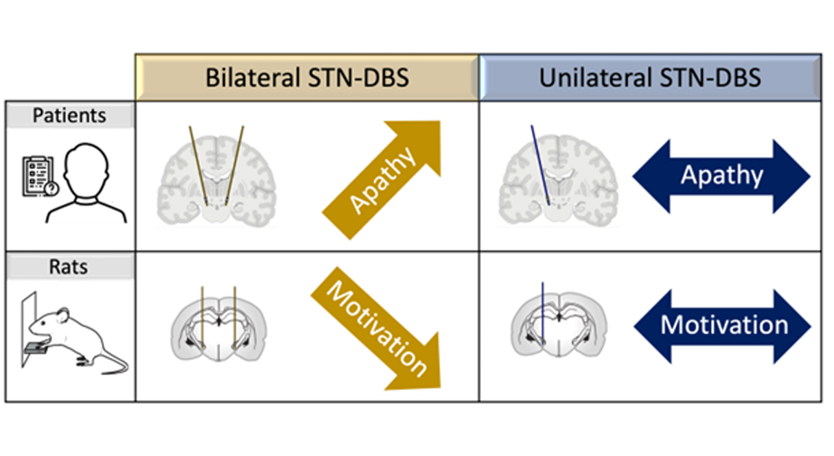 graphical abstract