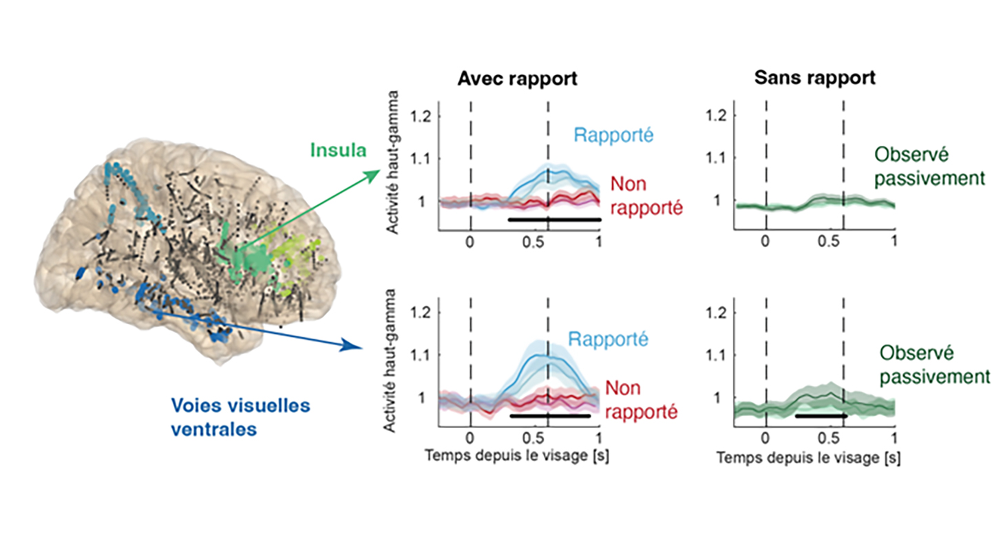 graphical abstract