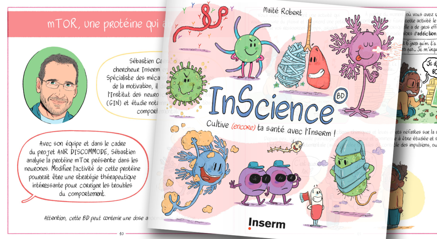 Extrait de la BD et couverture