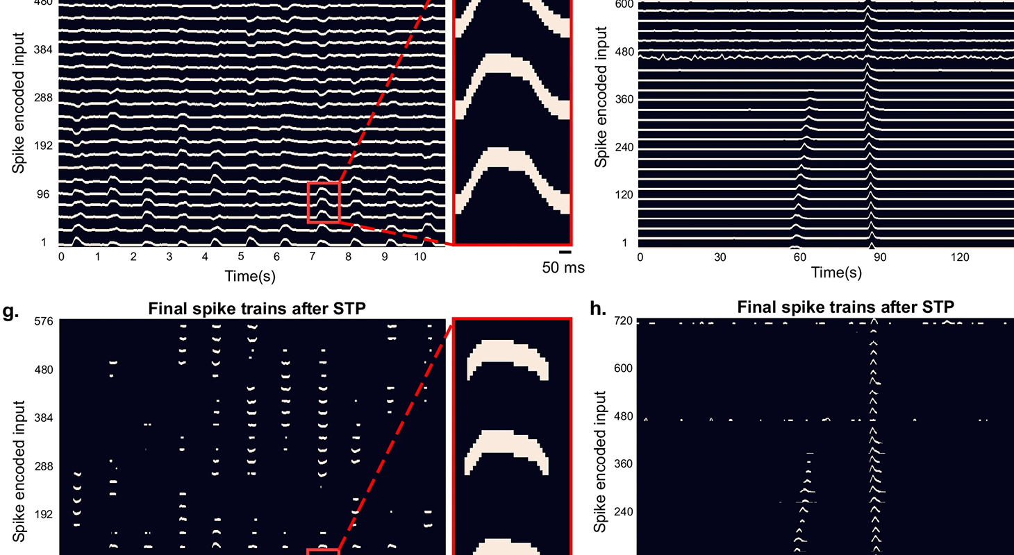 diagrammes scientifiques
