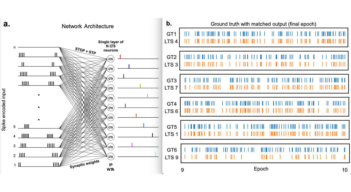 graphical abstract de la publication