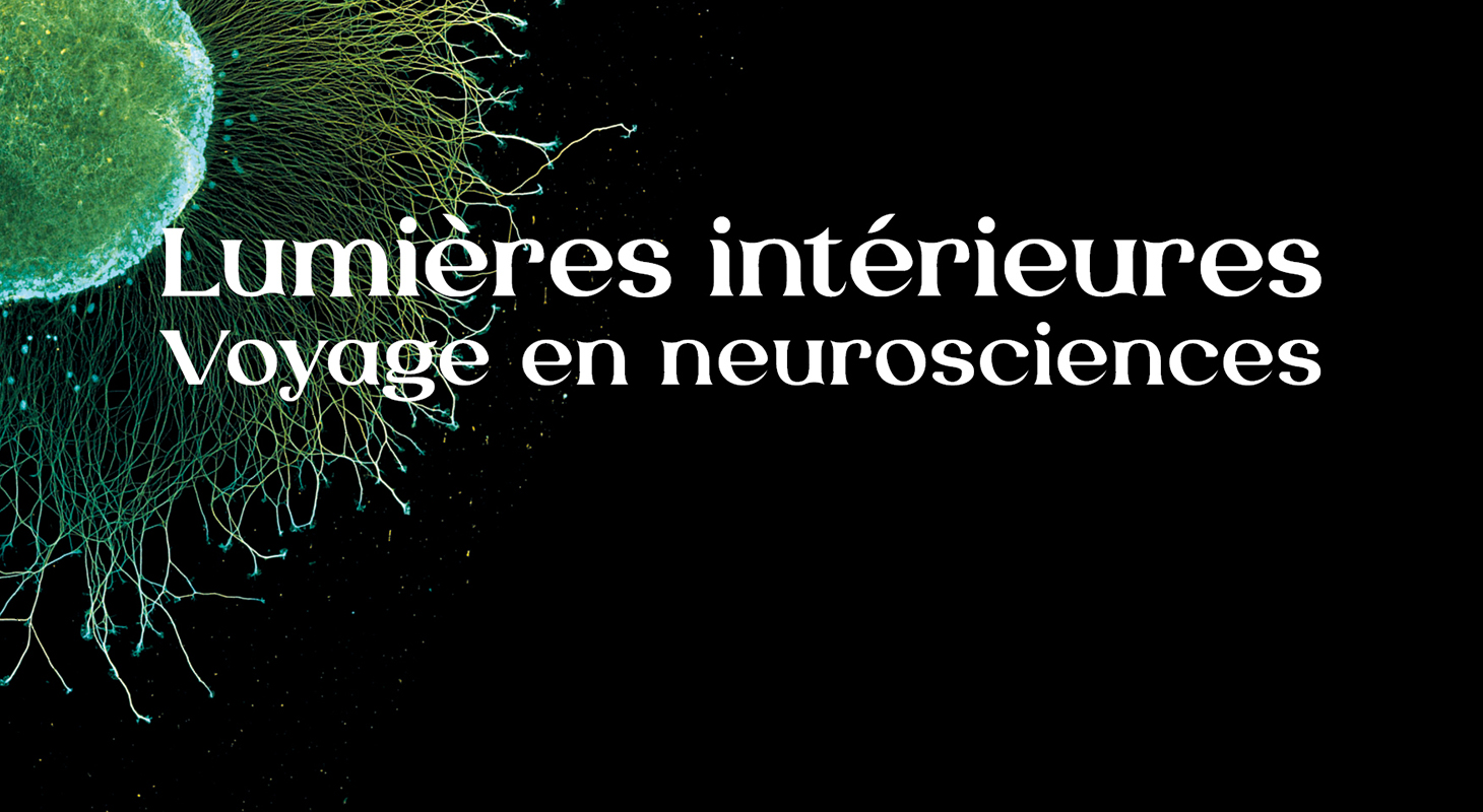 titre de l'exposition