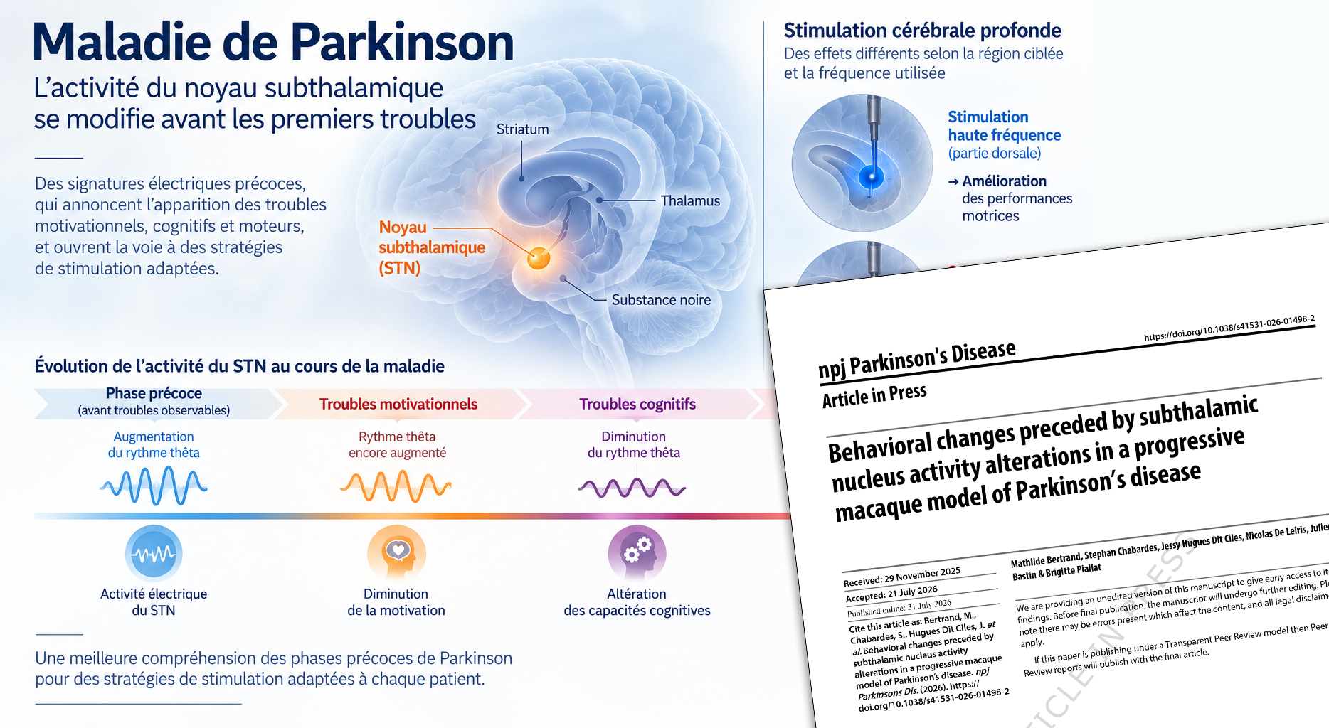 graphical abstract de la publication