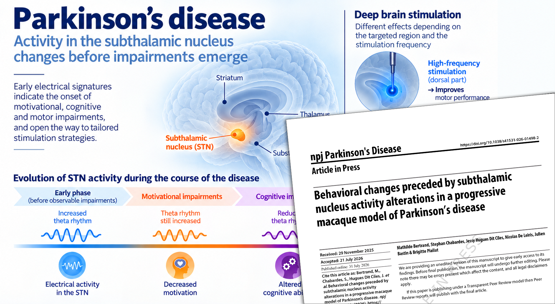 graphical abstract de la publication