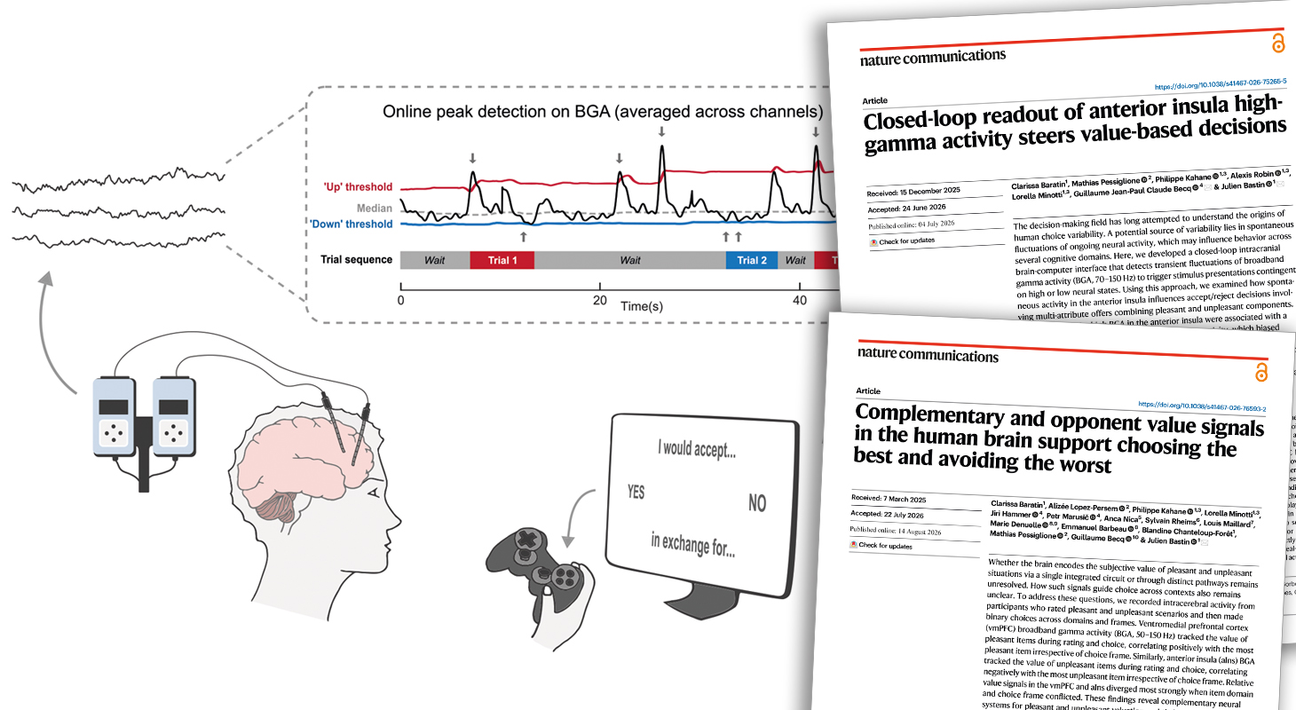 graphical abstract de la publication