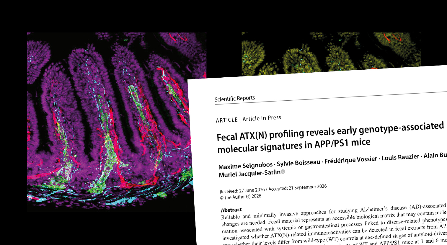 publication scientific reports